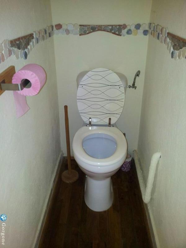 WC spars 